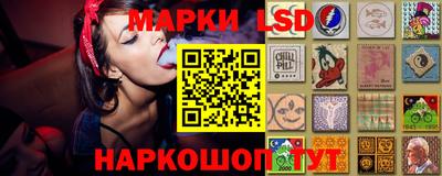 шишки Лесосибирск
