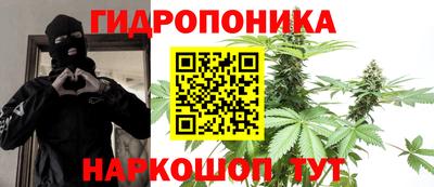 шишки Лесосибирск