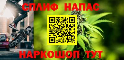 шишки Лесосибирск