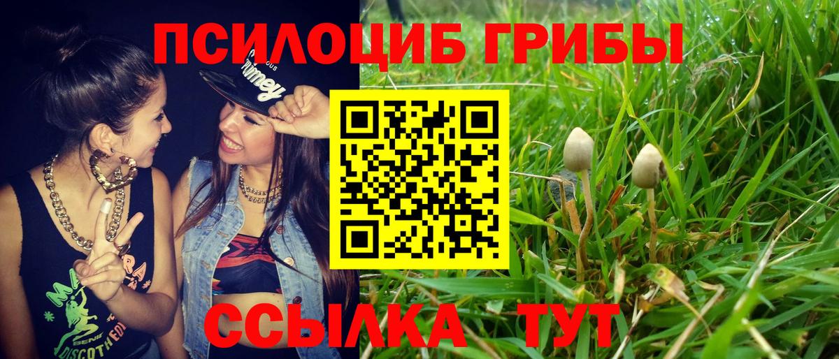 Галлюциногенные грибы GOLDEN TEACHER  Вход с VPN  Воткинск  купить наркоту  Галлюциногенные грибы Psilocybine cubensis 